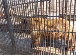 Незабутня екскурсія студентів 21-сп групи до Київської області